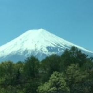 Meet your Posher, Colette